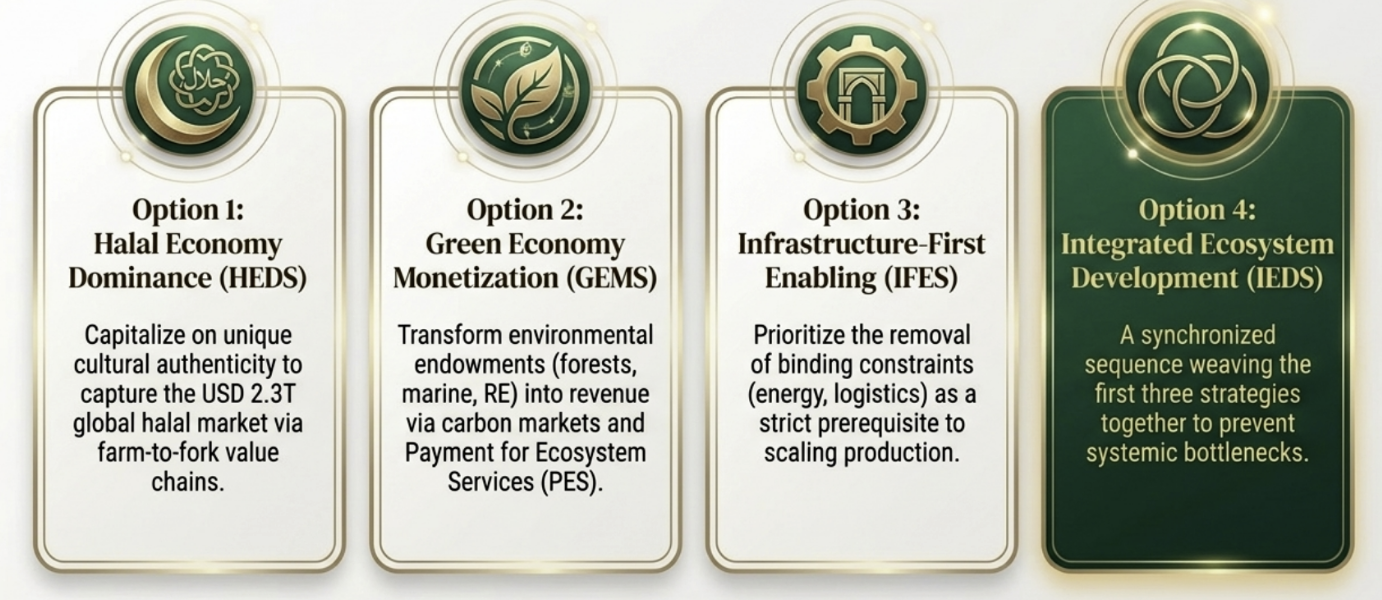 Four strategic options: HEDS, GEMS, IFES and IEDS